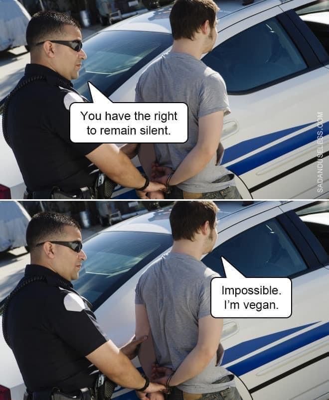 2D3BC315-BC1F-4DE9-91E2-CD631820FA5A.jpeg