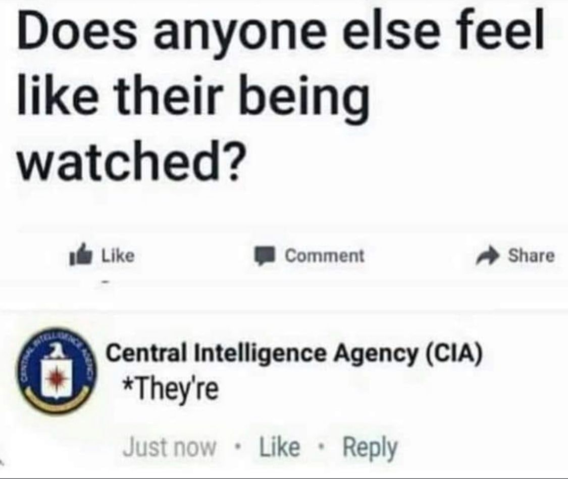 297A4F68-AC96-42D9-B65E-1E8DEDF7887B.jpeg