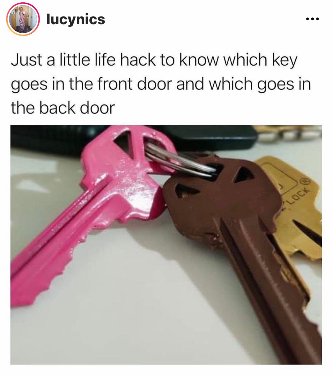 CE5033F6-9F08-4139-B75D-8BE2C085F98E.jpeg