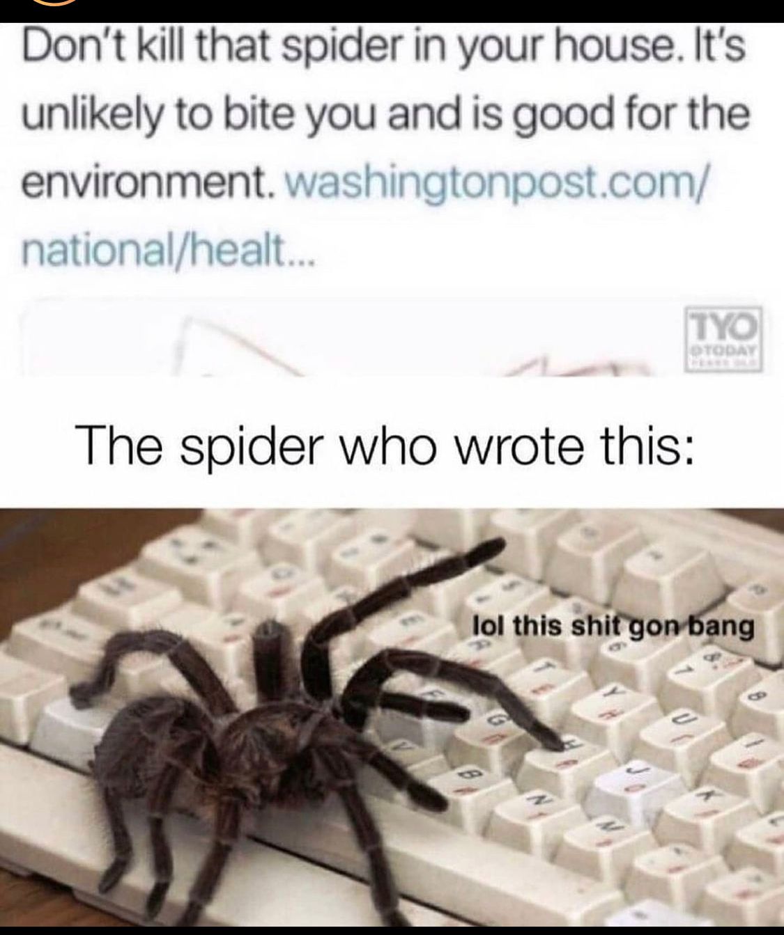 C4EA667C-F36C-49D5-8423-F902AF11788D.jpeg