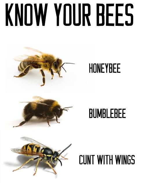 090A7B36-A5B0-4BDD-AE5A-D294006036E7.jpeg