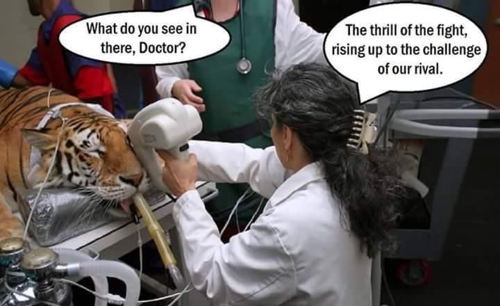 FB509746-581B-4D3B-8073-393181D73F62.jpeg