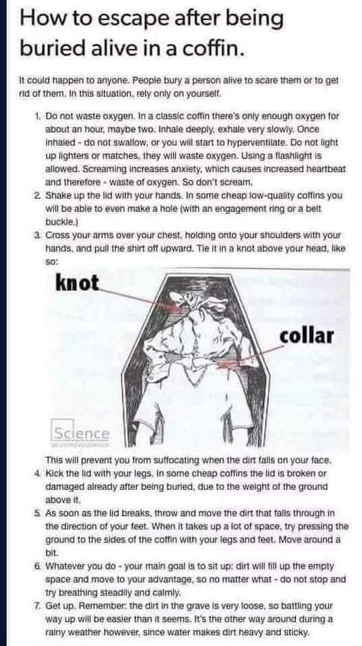 6C90C9FA-EC0B-4DC9-995F-540FAC16FE1C.jpeg