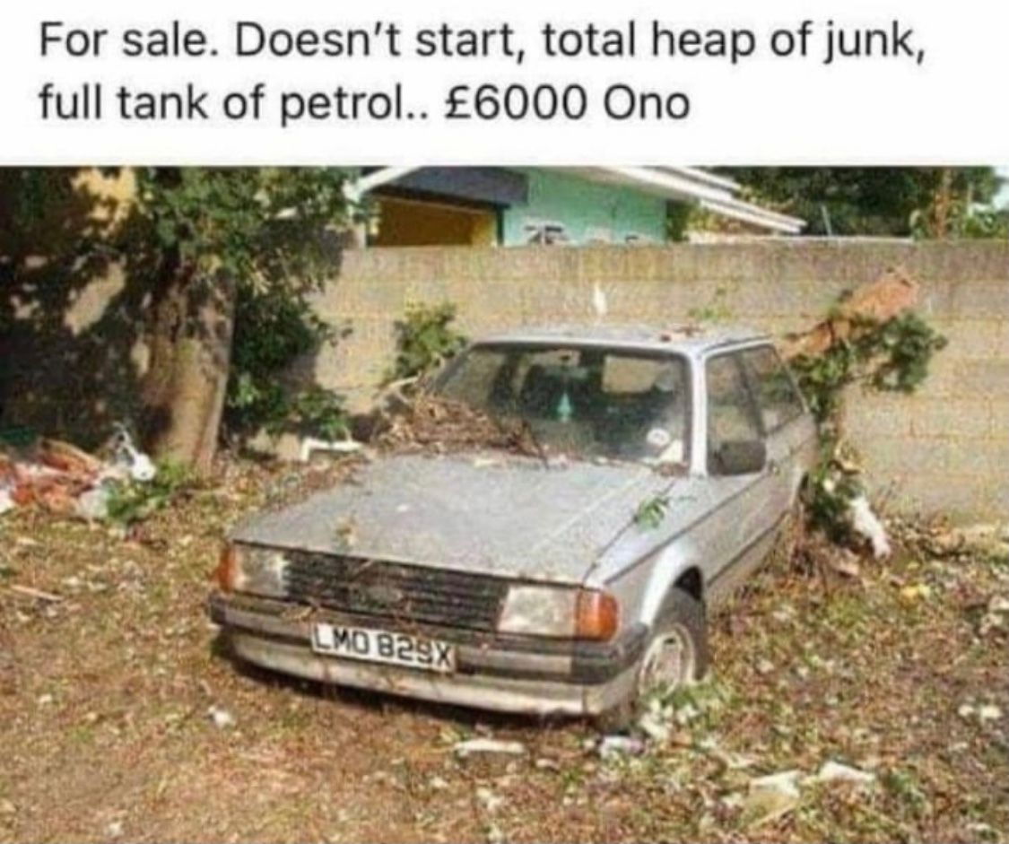 63C5C7EB-488A-493D-9D78-F27B64970415.jpeg