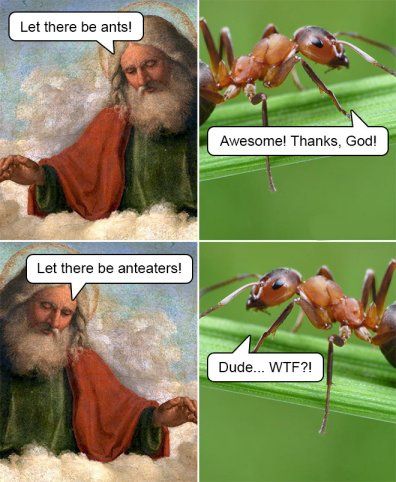 ants.jpg