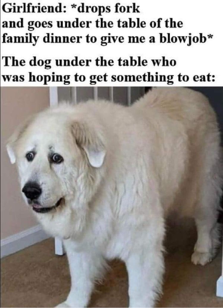 F6C79D8E-4BB1-4A65-AD71-CD7E0E8B9C4D.jpeg