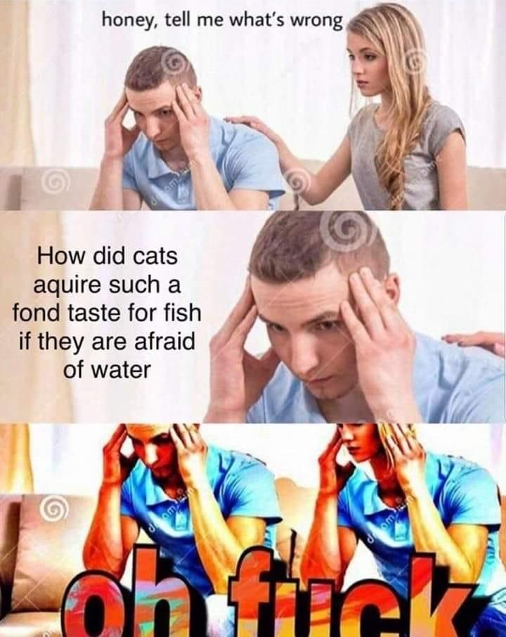 5F684F04-769D-4E42-8721-DED3879818FE.jpeg