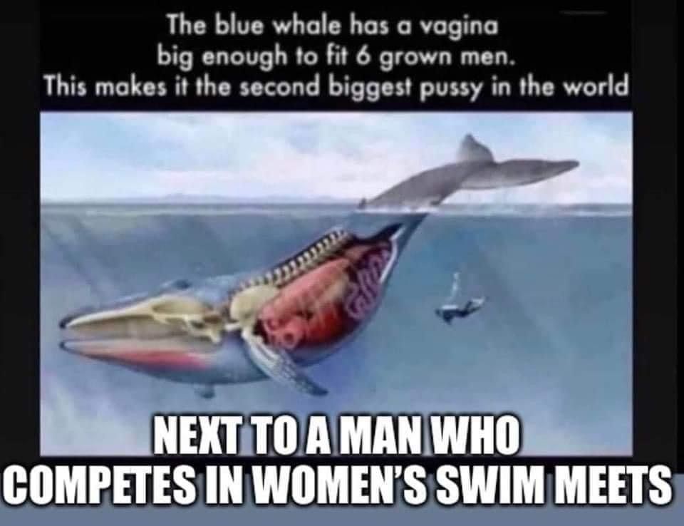A3680F94-4583-4CED-B16D-30ADAFD2E59C.jpeg