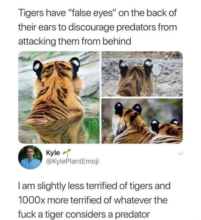 D7FE3F7F-16E7-46E9-B53A-AA6EF9E0F974.jpeg