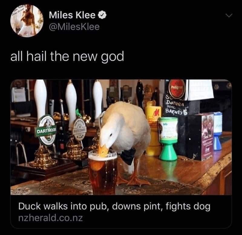 11CE8544-3003-4FC8-9B0F-9B205E93D3A2.jpeg