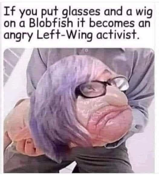 A33D15BE-6E0D-45C3-8FE0-50CF994C7E80.jpeg