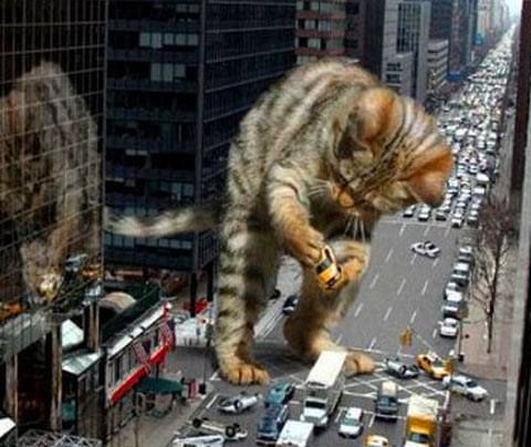 Catzilla.jpg