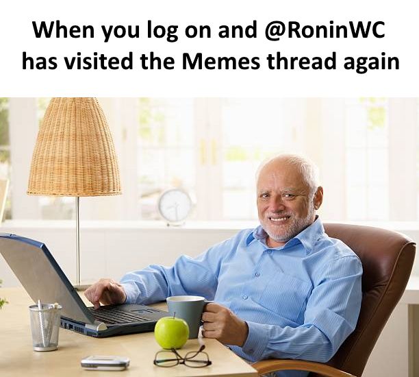 Ronin.jpg