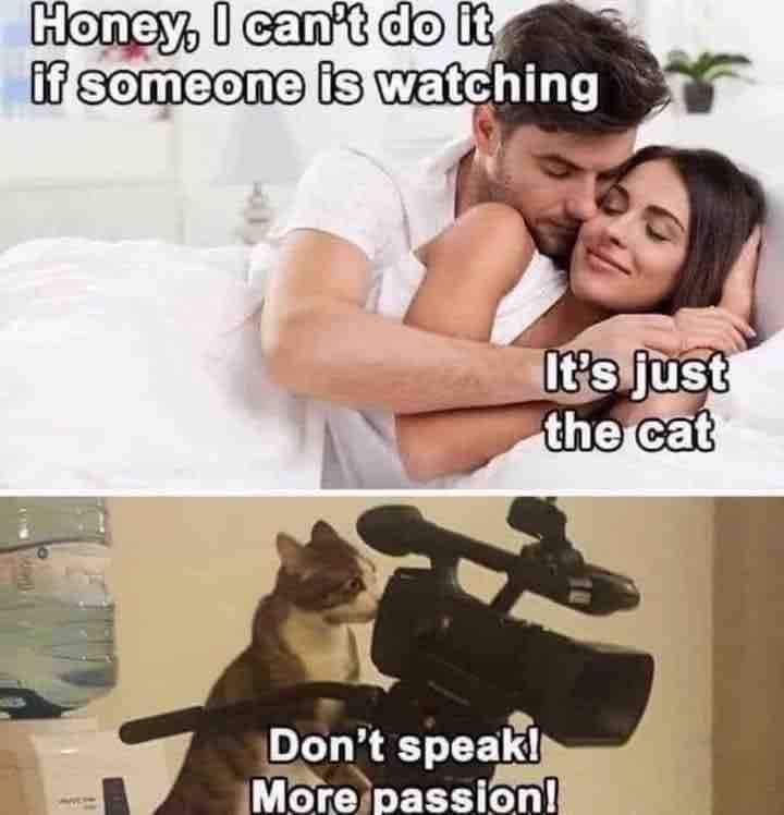 F9A1F064-1F73-4DE1-911A-D82D07474EF7.jpeg