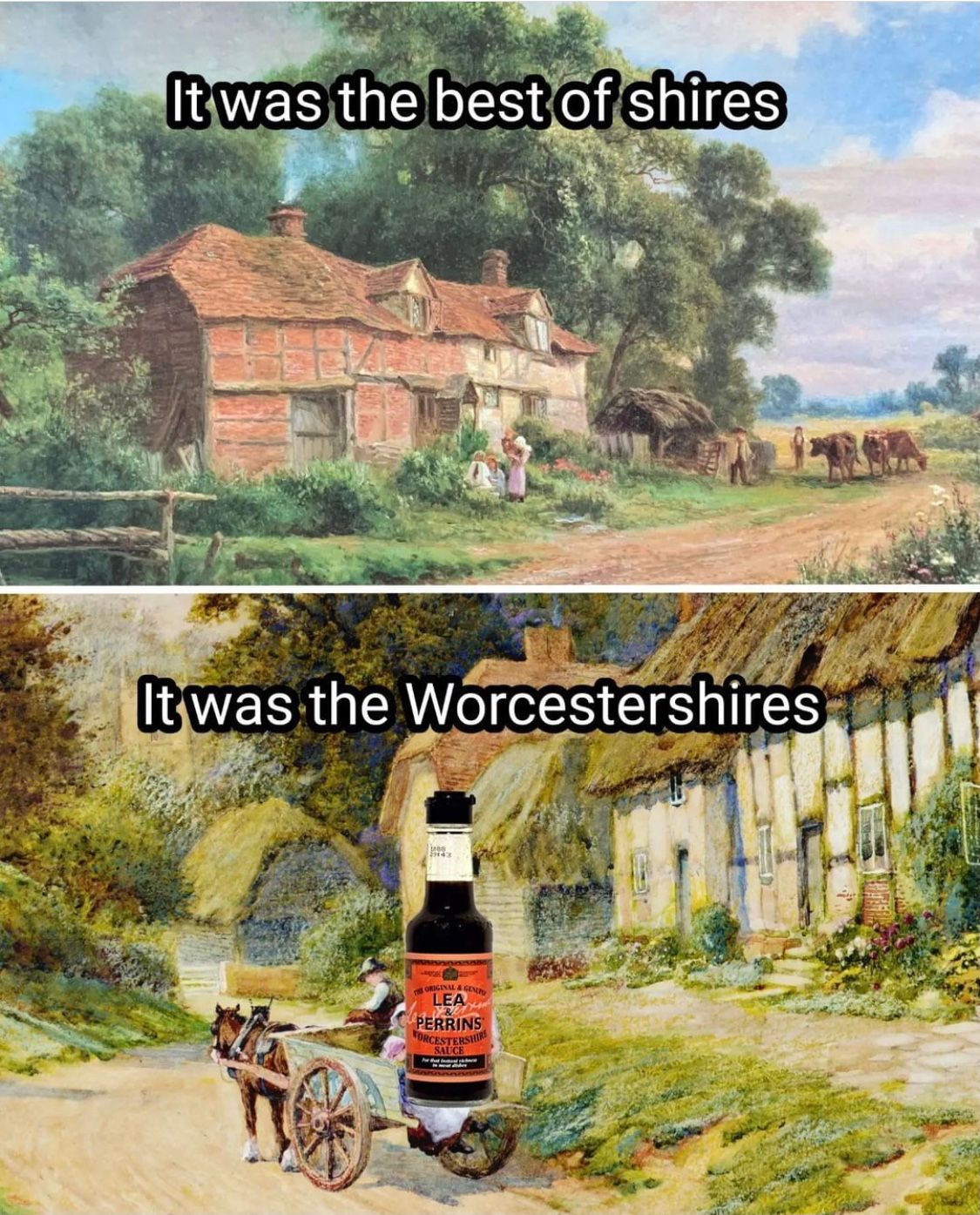 1644F5F3-4398-4318-B32F-2A025114E09C.jpeg