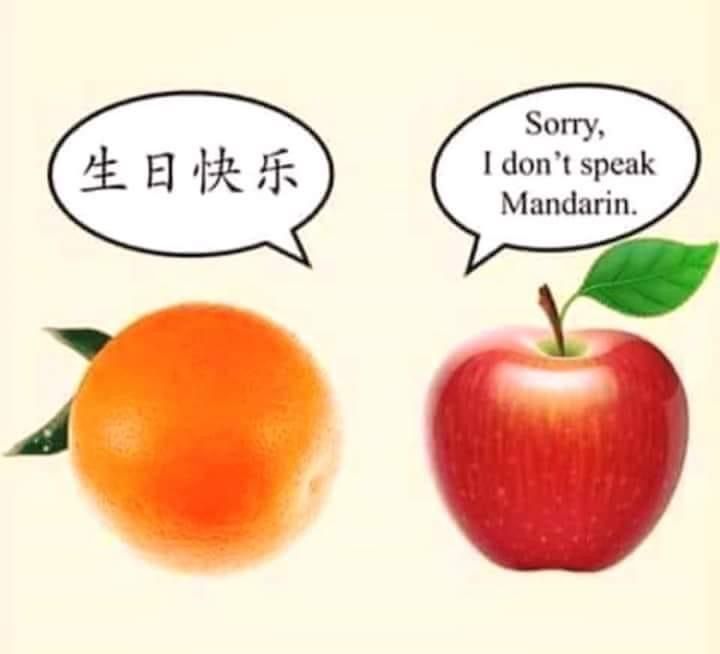 C44581FD-635B-4DD6-ADC2-F7E1A1BECEE6.jpeg