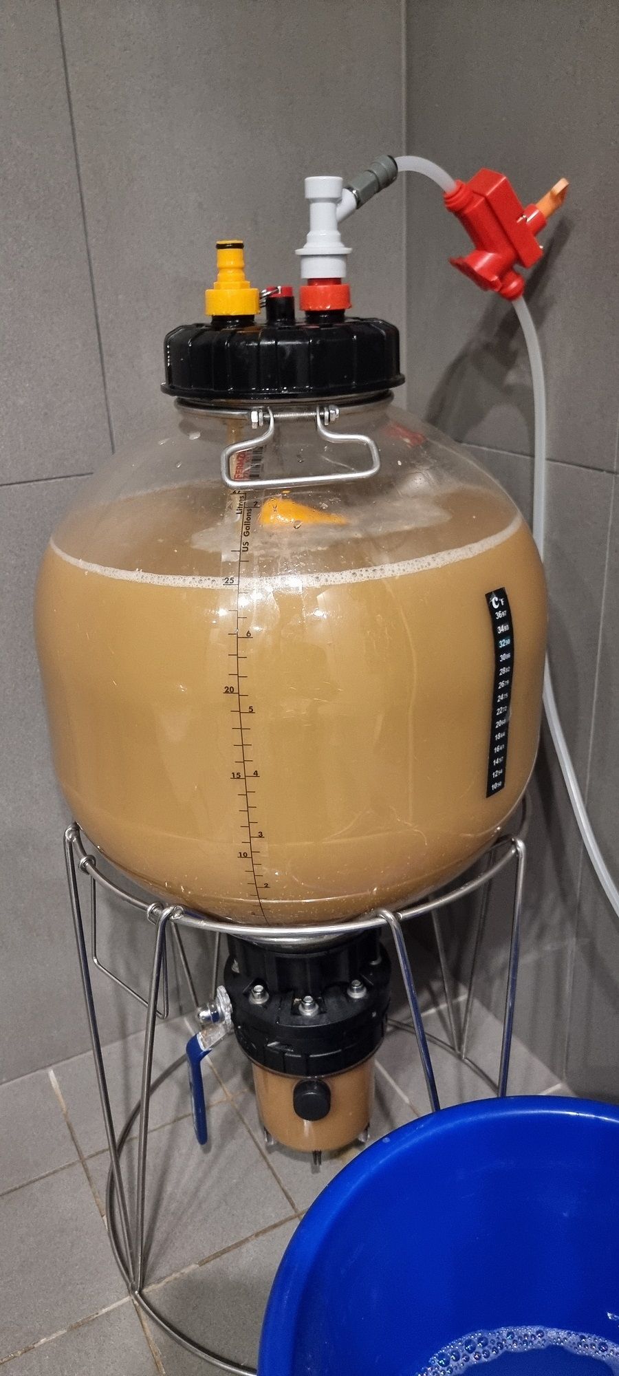 Fermentation in progress.jpg