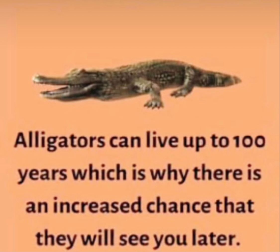 E54DA4EB-7599-4387-A84B-666E5F04FA16.jpeg