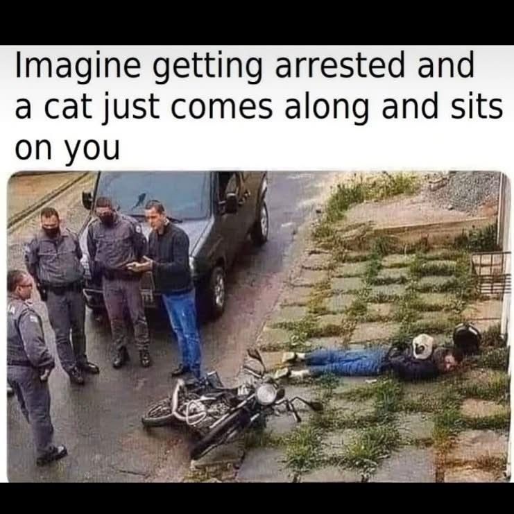 IMG_3686.jpeg
