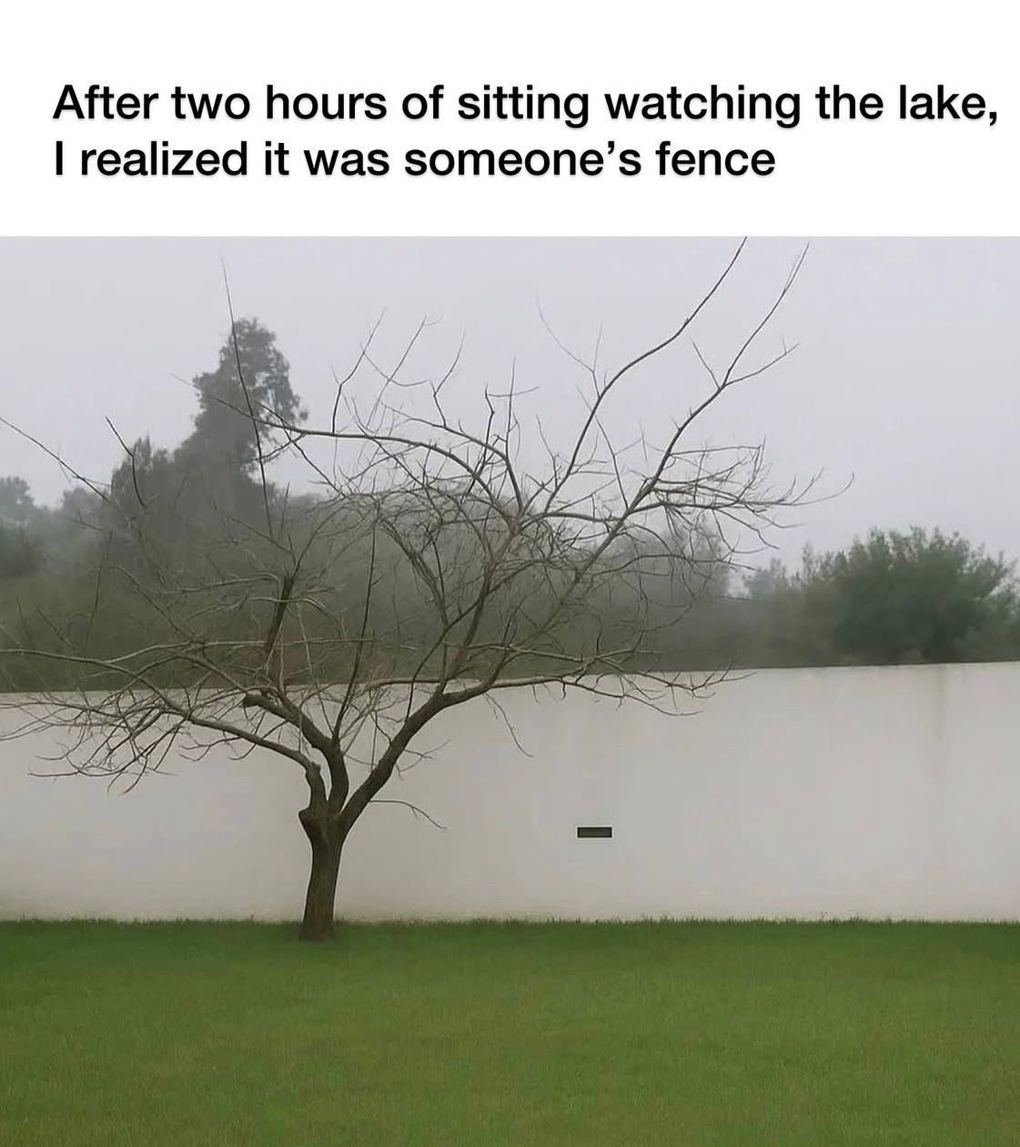 IMG_5381.jpeg