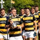 AmberArmy